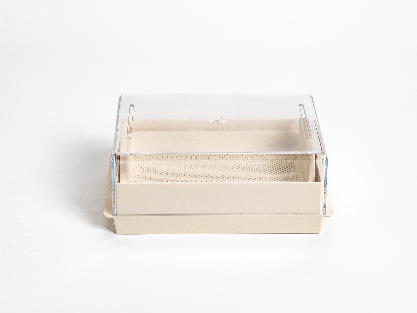 Naczynie do kiełkowania prostokątne - URBALIVE