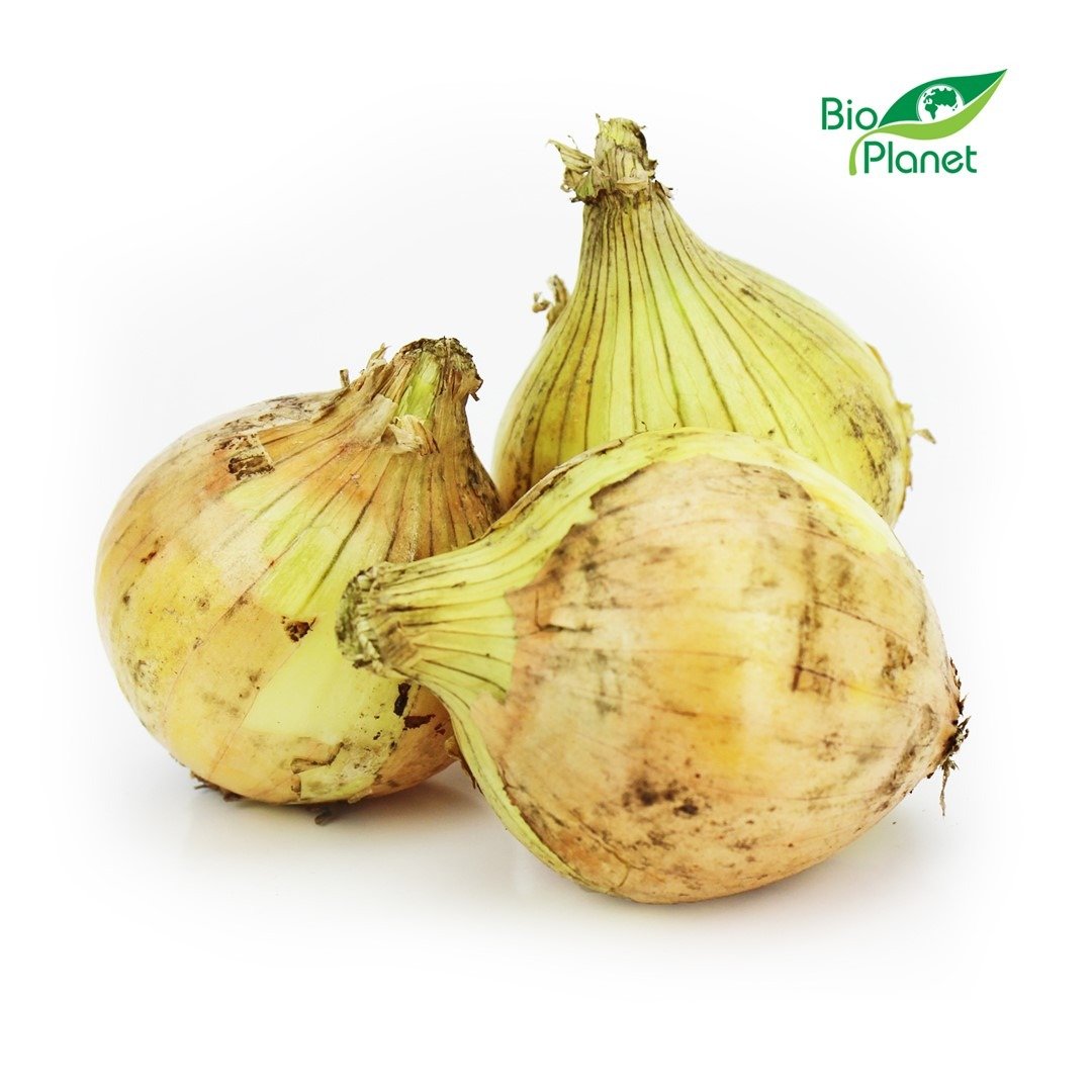 Cebula żółta świeża BIO (POLSKA) (około 1,00 kg)