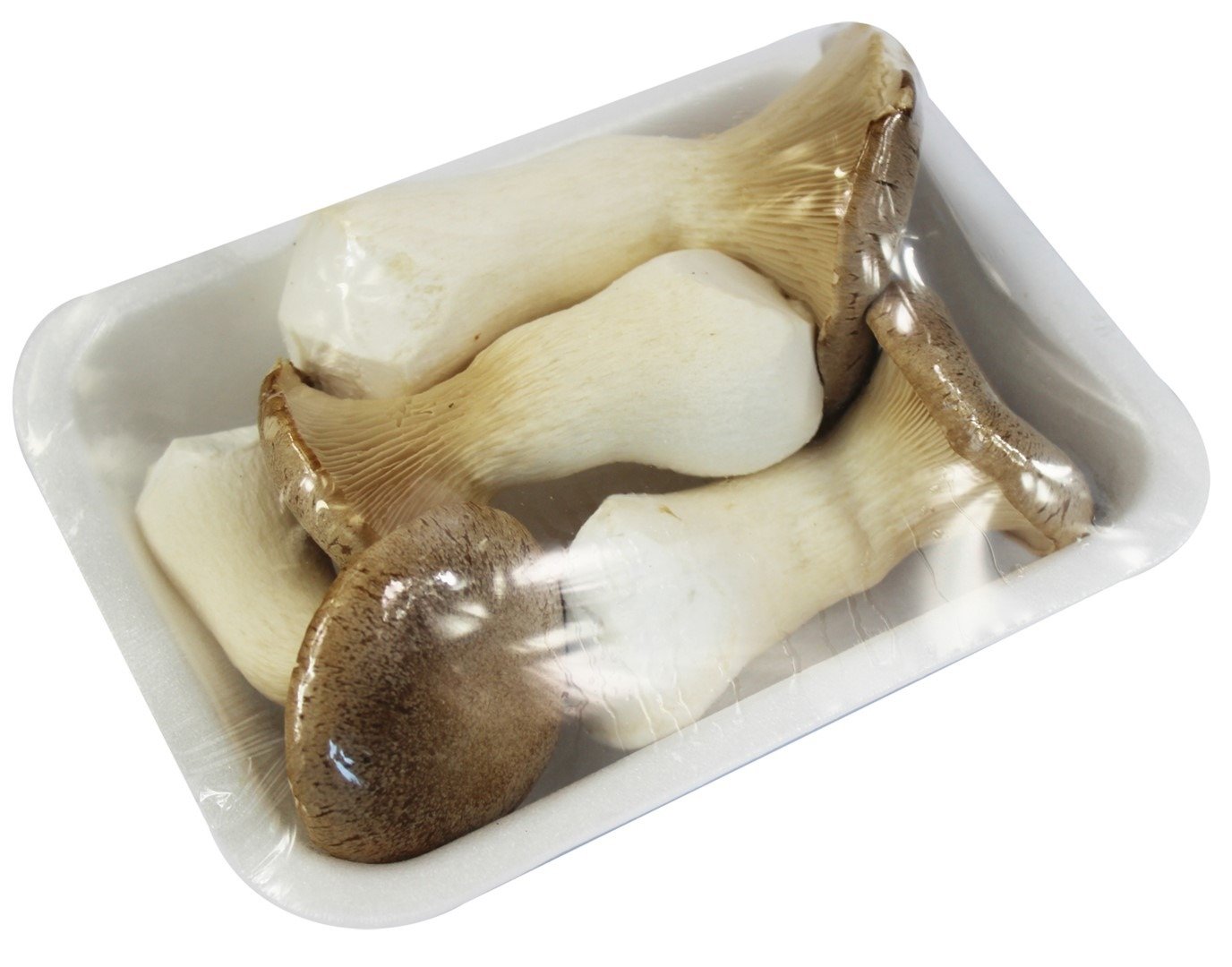 Grzyby eryngii (borowik stepowy) świeże BIO (POLSKA) (około 0,20 kg)
