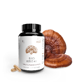 Grzyby reishi BIO (500 mg) 100 KAPSUŁEK - PILZE WOHLRAB
