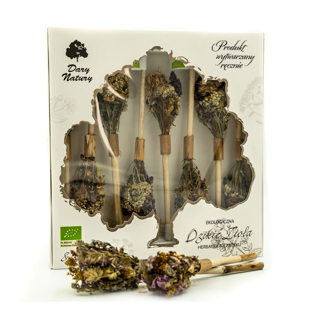 Herbatka na patyku dzikie zioła BIO (8 x 2,9 g) 23,2 g - DARY NATURY