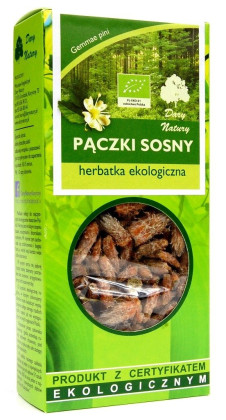 Herbatka pączki sosny BIO 50 g - DARY NATURY