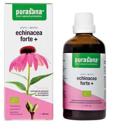 Jeżówka purpurowa (echinacea forte) krople BIO 100 ml - PURASANA