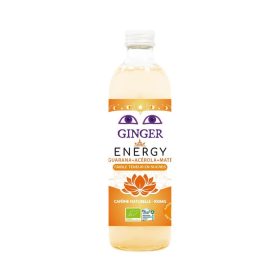 Piwo imbirowe energy bezalkoholowe fair for life BIO 350 ml - KARMA
