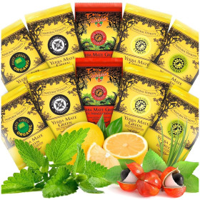 Zestaw próbek yerba mate mix (10 x 50 g) 500 g - YERBA MATE GREEN